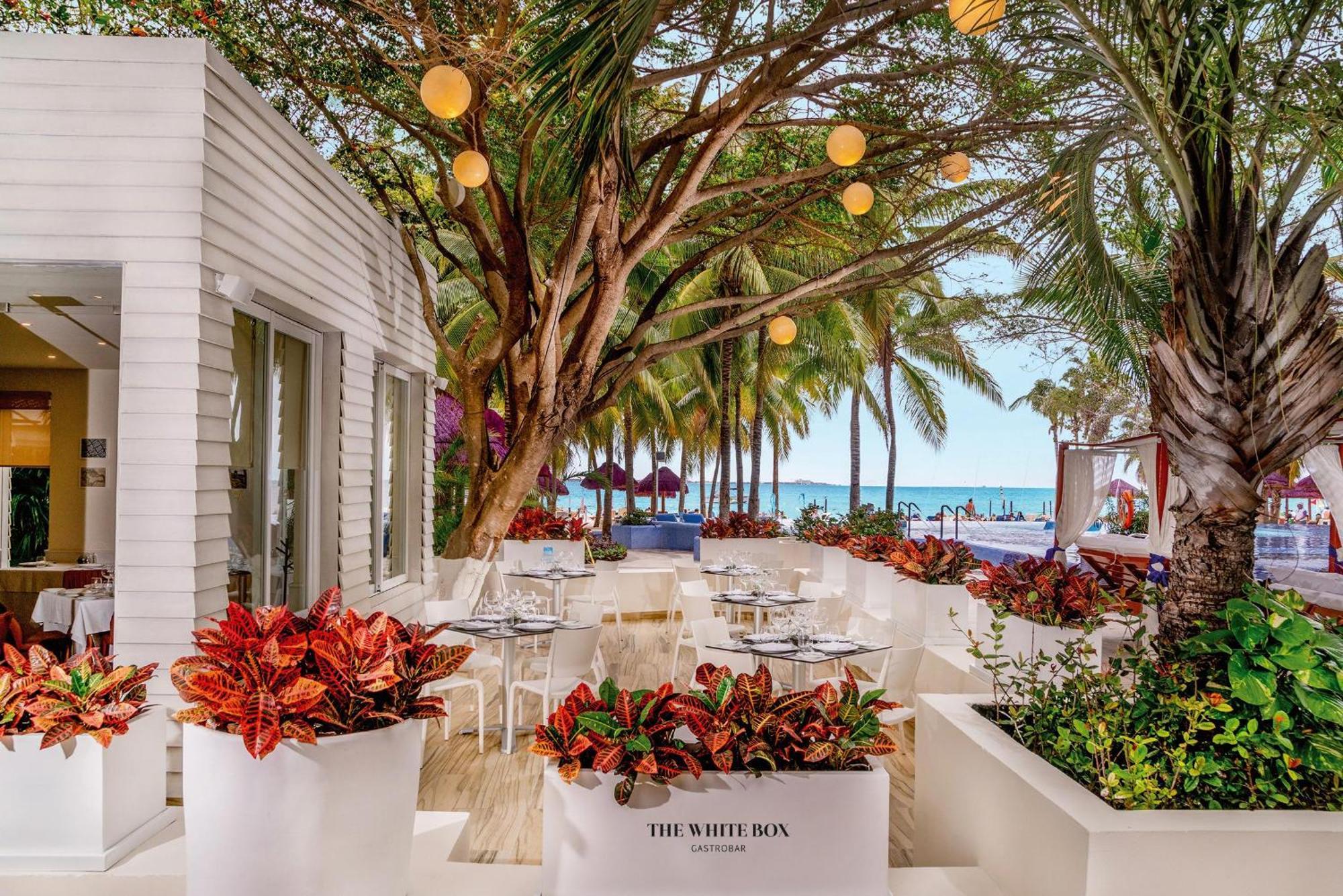 The Sens Cancun By Oasis (Adults Only) Zewnętrze zdjęcie